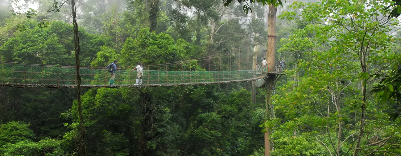 Danum Valley in the Malaysian - hidden adventure spots in Asia