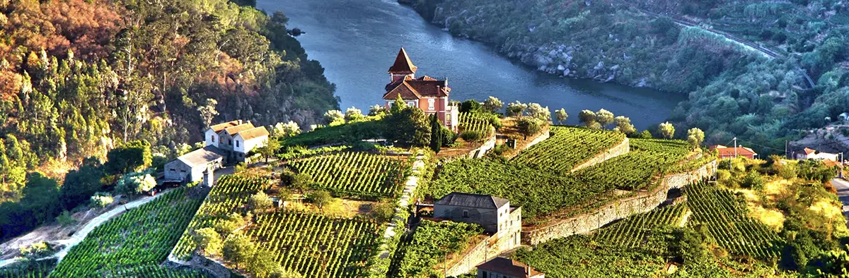 Hidden Gems of Portugal - Douro Valley – Portugal’s Wine Heaven