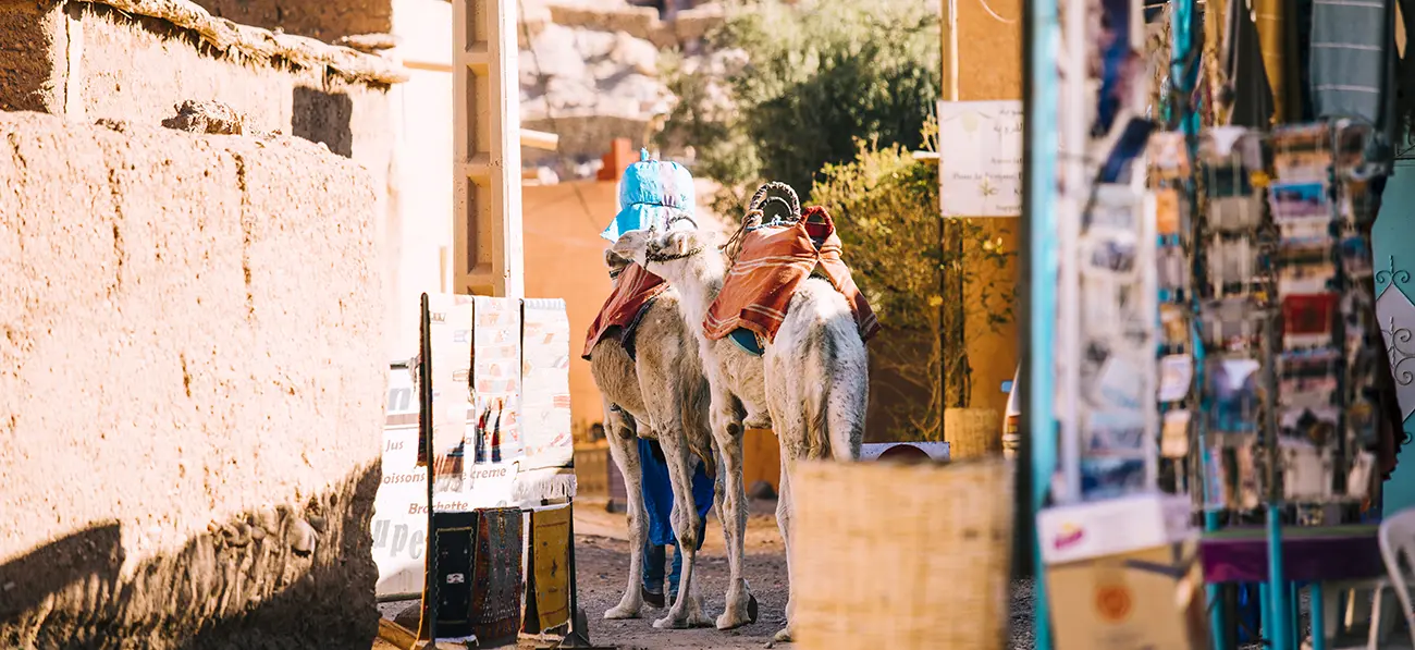 Marrakech, Morocco - Africa