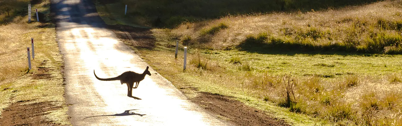 Wonders of Australia